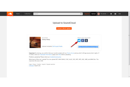 Upload Your Music to Audio Distribution Platform