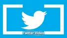 Upload Video to Twitter