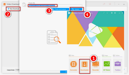 Paste and Analyze the URL