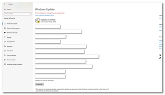 Perform a Windows Update