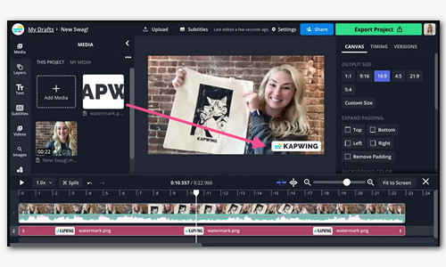 Add Video Watermark Online via Kapwing