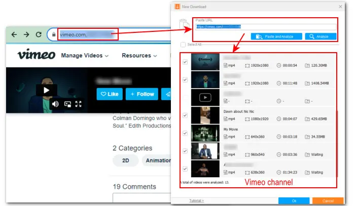 Copy and Paste the URL of Vimeo Video