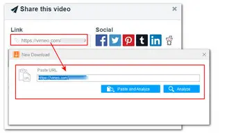 Analyze Vimeo Video Link