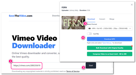 Online Vimeo Converter MP4