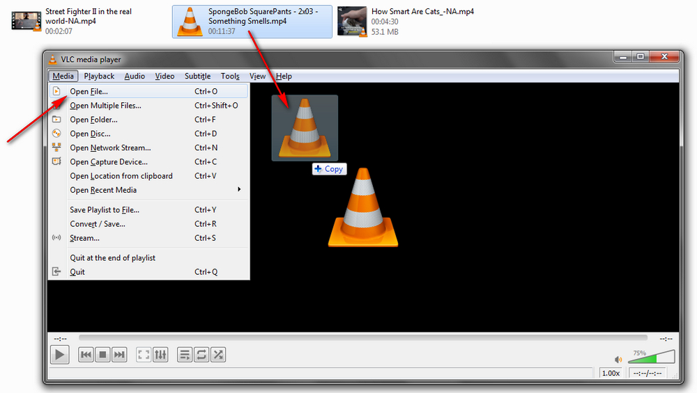 Play Video with VLC