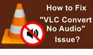 VLC Convert No Audio