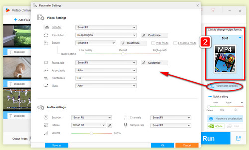 Preset video formats and parameters