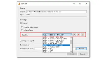 Convert MTS Files with VLC