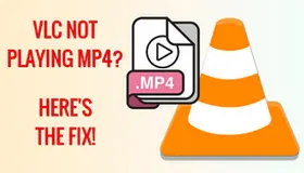 VLC Not Playing MP4