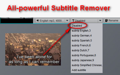 All-powerful Subtitle Remover