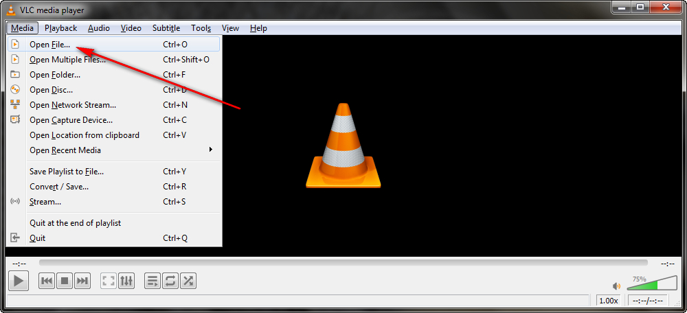 Play Audio File in VLC