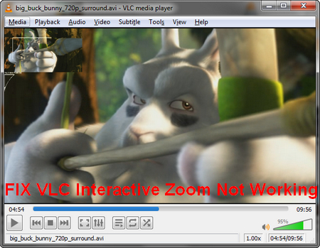 Fix VLC Interactive Zoom Can't Move Issue