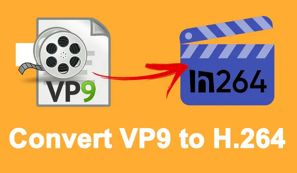 VP9 to H.264 Converter