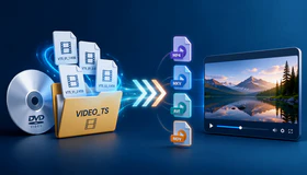 VTS Video Converter