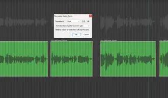 Normalizing Audio in REAPER