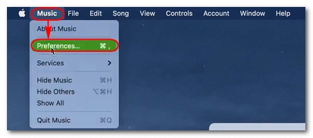Open Preferences