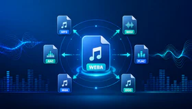 WEBA Converter