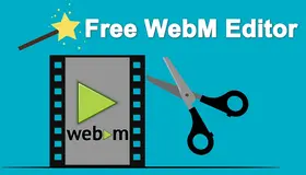 WebM Editor