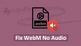 WebM No Audio