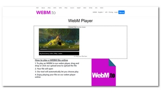 WebM Player Online