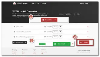 Convert WebM to AVI Online