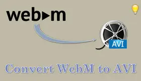 WebM to AVI