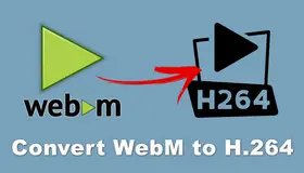 WebM to H.264