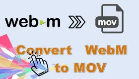 WebM to MOV