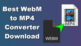 WebM to MP4 Converters