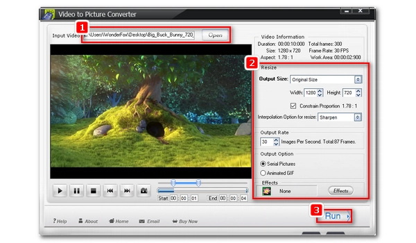 WonderFox Video to Picture Converter