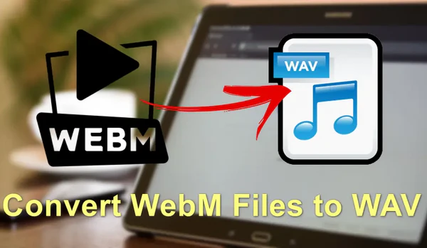 WebM to WAV Converter