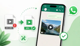 WhatsApp Video Format