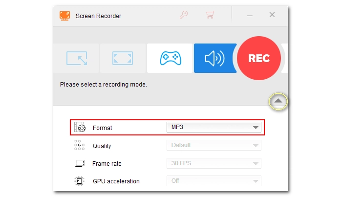 Select Recording Format