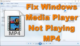 Windows Media Player MP4