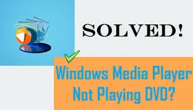 Windows Media Player Won't Play DVD