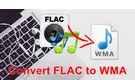 FLAC to WMA