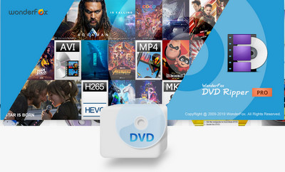 DVD to Windows Media Video Format