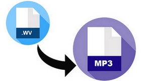 WV Converter