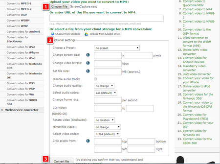 How to Use XESC to MP4 Online Converter