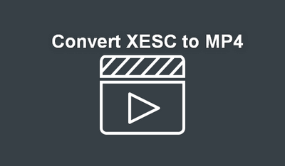 Recommended XESC Video Converter