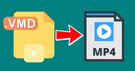 Convert VMD to MP4