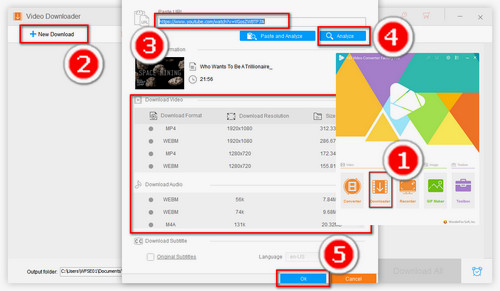 Paste and analyze the url