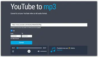 Download YouTube Shorts Video to MP3