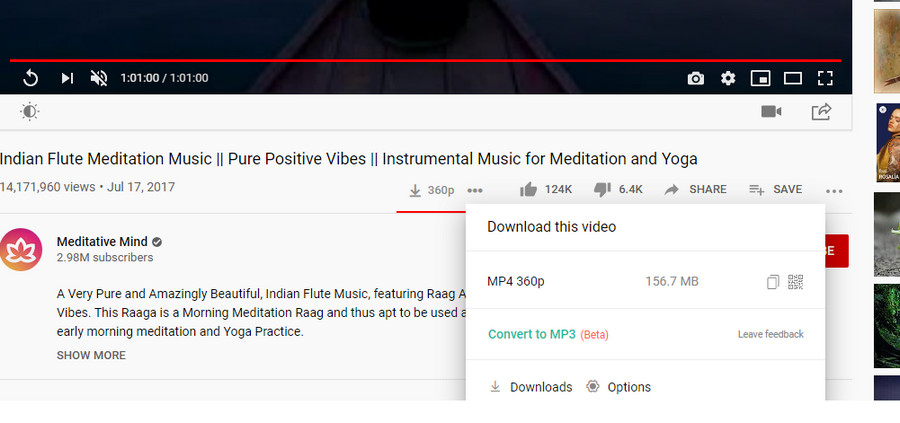 Convert YouTube to MP3 Online via Addoncrop YouTube Downloader