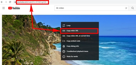 Copy 4K Video URL