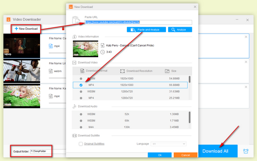 Choose Output Format and Download