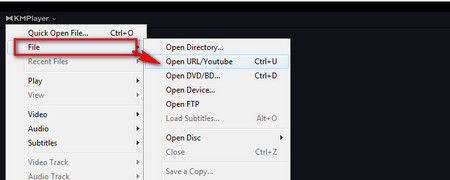 Copy and Paste the YouTube Video URL into KMPlayer 
