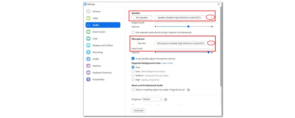 Verify Selected Mic in Audio Settings