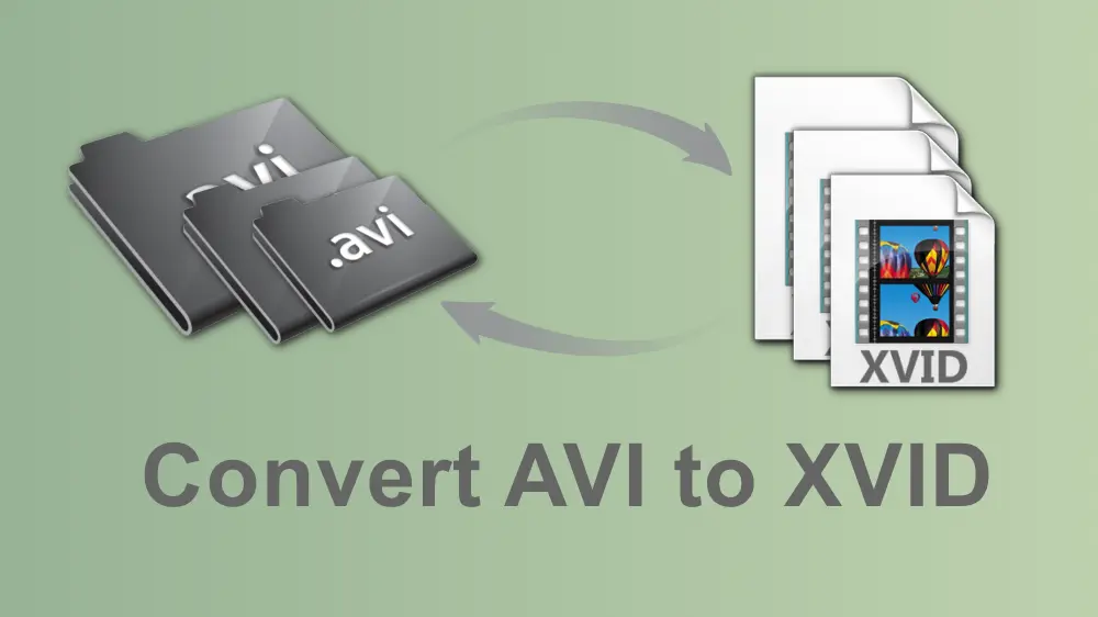 xvid
