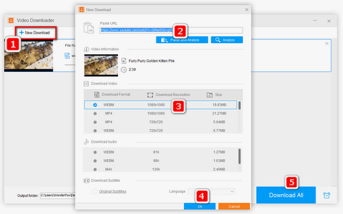 clipconvert clipconvert